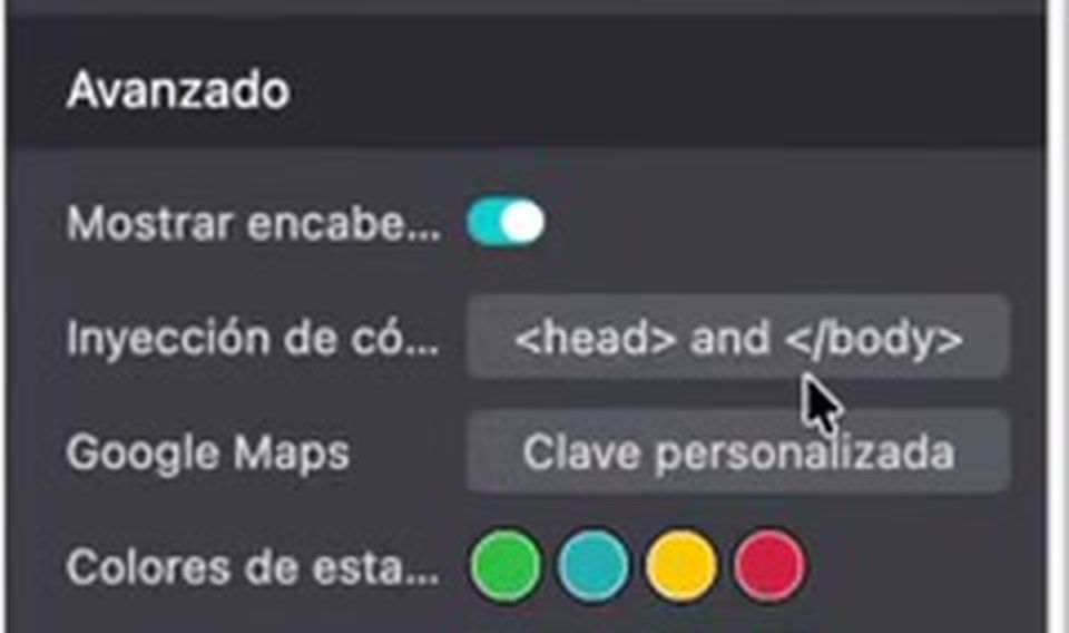 Apartado Avanzado del editor de Odoo con la opción Inyección de código head and body